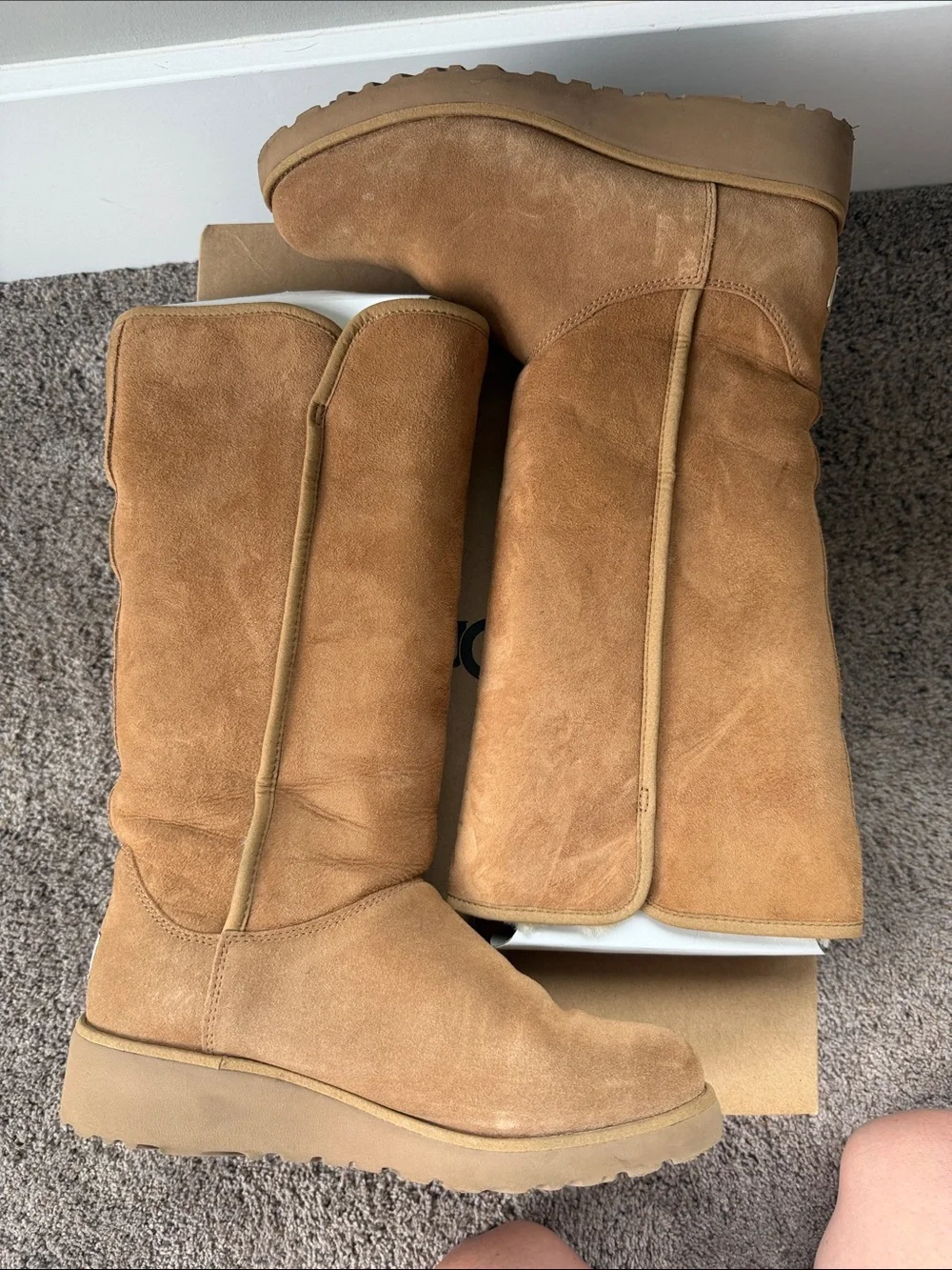UGG Women's Tall Chestnut Suede Boots